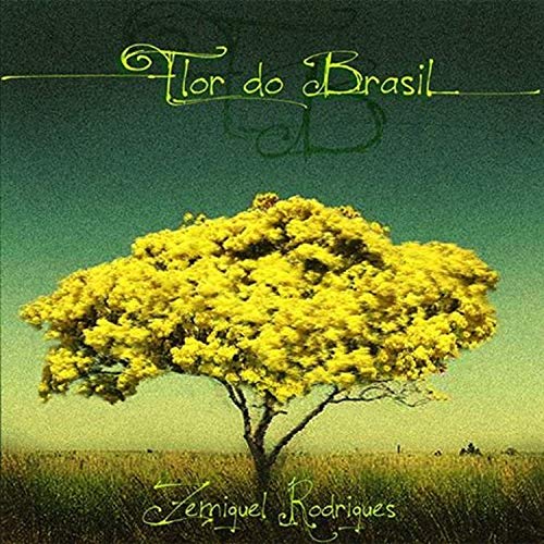 Flor do Brasil [Explicit]