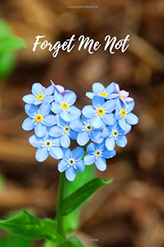 Forget Me Not Password Book: Cute blue purple heart little flower - discreet internet password log book keeper organizer premium journal logbook small ... women seniors old people adults office work