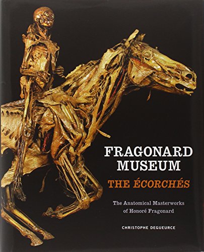 Fragonard Museum: The Ecorches