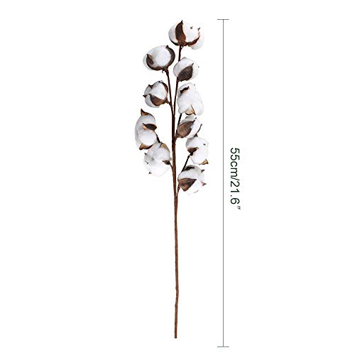 HUAESIN 3Pcs Ramo de Flores Secas Naturales Blanca Rama Algodon Artificial Flores Artificiales Blancas Decoracion para Jarrones Hogar Bodas Fiestas Mesa Cocina Escritorio Restaurante 53cm