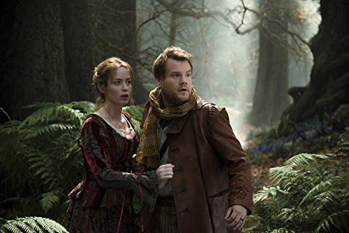 Into The Woods [DVD]