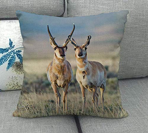 JgZATOA Prairie Elk Funda De Cojín para Sala De Estar Sofá Fundas De Almohada Cama Funda De Almohada Cojín De Café 45 X 45 Cm Juego De 4