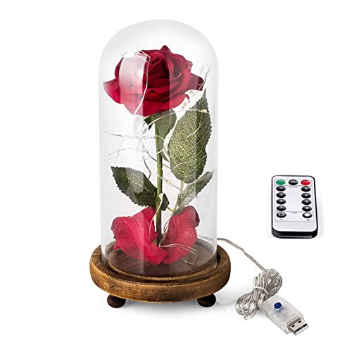 Kit de Rosas La Bella y la Bestia, Rosa de Seda roja y luz LED con pétalos caídos en la cúpula de Vidrio en la Base de Madera para la decoración del hogar Boda Cumpleaños Día de la Madre