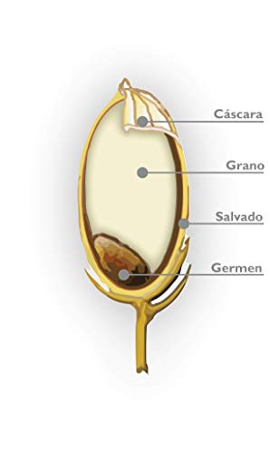 La Albufera - Aceite puro, natural, vegano, prensado en frió, hidratante para la piel sin OGM-aceite de germen de arroz 50ml