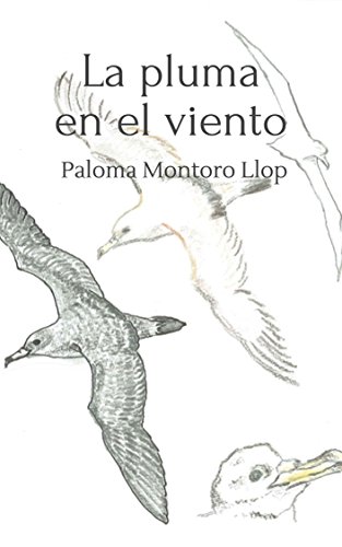 La pluma en el viento