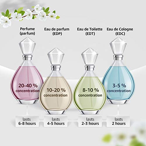 LALIQUE - Agua de perfume para mujer Amethyst Eclat, 1 x 50 ml