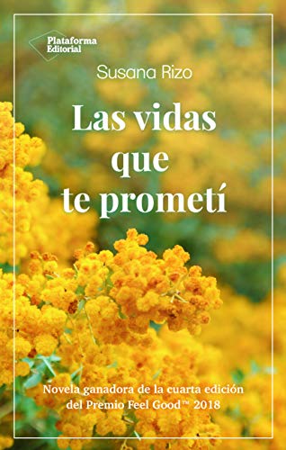 Las vidas que te prometí