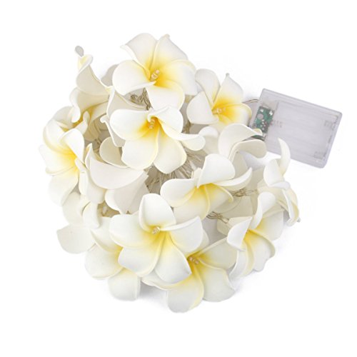 LEDMOMO Flor Guirnalda Luminosa Bateria Operado Cadena de Luces 20 LED Frangipani Plumeria Flor Decoración (Luz Blanca Cálida)