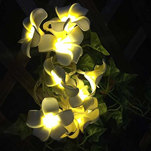 LEDMOMO Flor Guirnalda Luminosa Bateria Operado Cadena de Luces 20 LED Frangipani Plumeria Flor Decoración (Luz Blanca Cálida)