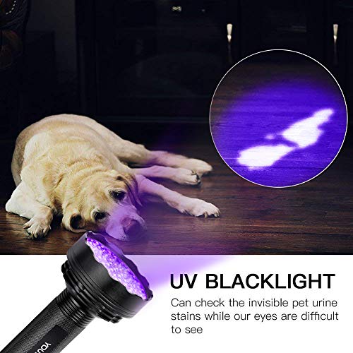 Linterna UV con 51 LED, Detector Ultravioleta de 395 nm para Detectar Orina de Mascotas en Alfombra, Flashlight Portable para Manchas de Cocinas, Caza Escorpión(51 LEDs)