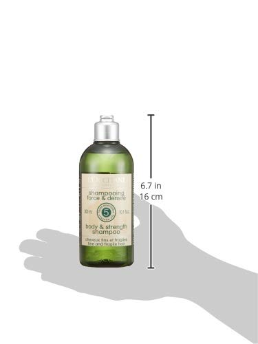 L'occitane - champú fuerza & densidad aromacología - 300 mililitros.