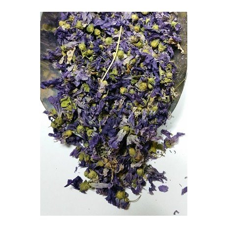 MALVA REAL FLOR REAL- IMPORTACIÓN - 1/2 k