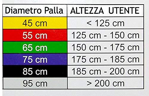 Mambo 05-010102 - Pelota de entrenamiento (plástico ABS y bomba de aire, 45 cm), color amarillo, color azul, tamaño 75cm, 1, 75 x 1 x 1centimeters