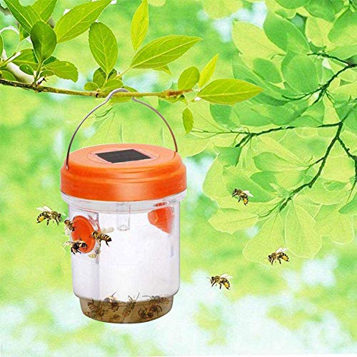 Mengya Wasp Trap Catcher Chaquetas Amarillas de Avispones Super Eficaz con Luz Solar Ledtrampas Efectivas Reutilizables