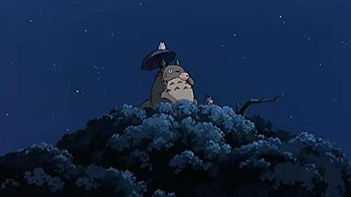 Mi vecino Totoro [DVD]