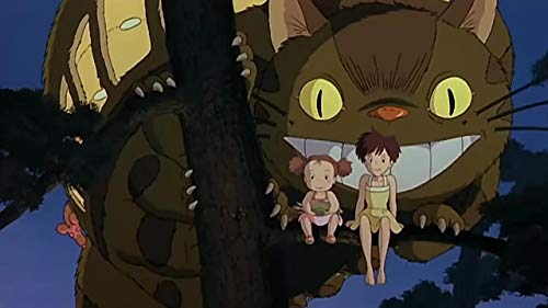 Mi vecino Totoro [DVD]