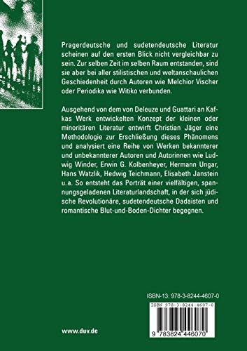 Minoritäre Literatur: Das Konzept der kleinen Literatur am Beispiel prager- und sudetendeutscher Werke (Literaturwissenschaft / Kulturwissenschaft)