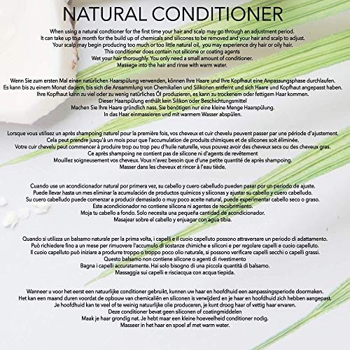 Natural ACONDICIONADOR REVITALIZANTE - COCO, ROMERO & MENTA - 250 ml - por Fine Line Apothecary - Sin Sulfatos, Sin Parabenos, Sin Silicona. Concentrado, Fàcil de Enjuagar.