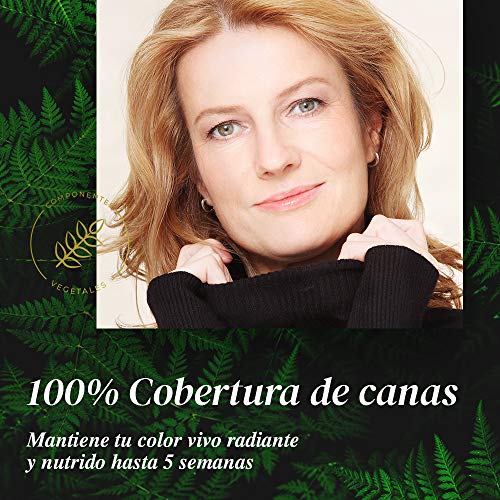 Pack Farmatint - Tinte 6N Rubio Oscuro + Stop Raíces Rubio Oscuro - Color natural y duradero - Componentes vegetales y aceites naturales - Sin amoníaco - Dermatológicamente testado