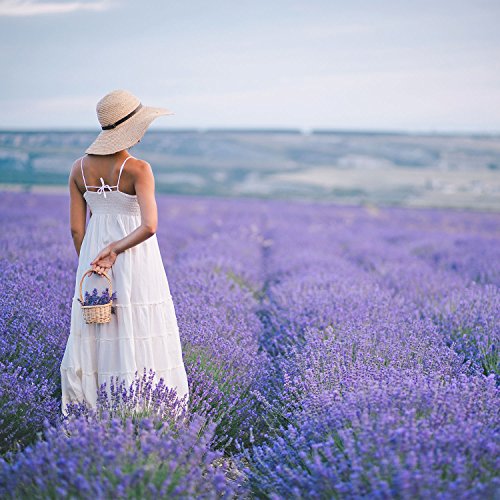 Pajoma 10 bolsitas de Lavanda más Aceite Esencial de Lavanda 100% Natural de Francia Bolsitas de Bolsa de Lavanda