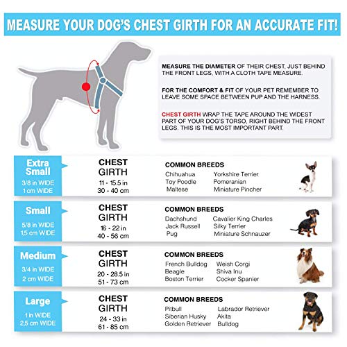 Pawtitas Adiestramiento Arnés para Perro o Cachorro Reflectante | Arnes Perro Antitirones | Arneses para Perro para Entrenamiento - Arnes Perro XS Extra Pequeño Morado