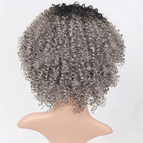 Pelucas de pelo rizado para mujer negra, pelo gris natural para mujeres negras, peluca rizada, pelucas de pelo humano rizado y rizado, pelucas sintéticas onduladas de 30 cm(WS727)