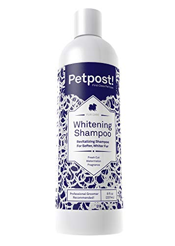 Petpost | Shampoo Blanqueador para Perros – El Mejor Tratamiento de Aclaramiento para Perros con Pelaje Blanco – Calmante Fragancia de Sandía – para Malteses, Shih Tzu, Caniche – 237 mL