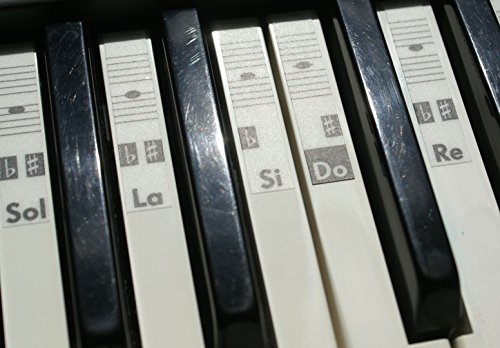 Piano teclado música Nota pegatinas etiquetas transparent Do-Re-Mi-Fa-Sol-La-Si