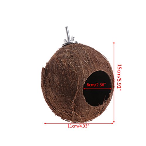 planuuik Bird Parrot Finch Nest Natural Coconut Shell Cadena Colgante Jaula Juguetes Swing House como se Muestra en Las imágenes