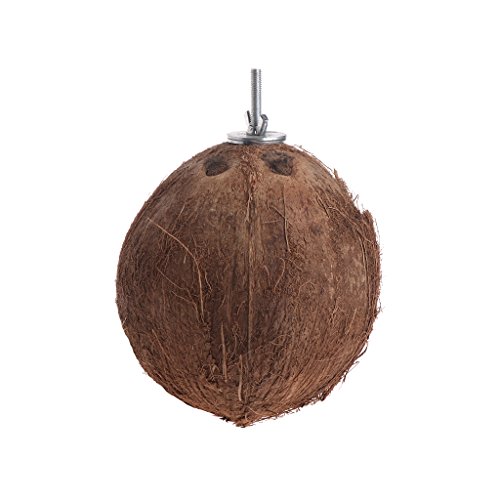 planuuik Bird Parrot Finch Nest Natural Coconut Shell Cadena Colgante Jaula Juguetes Swing House como se Muestra en Las imágenes