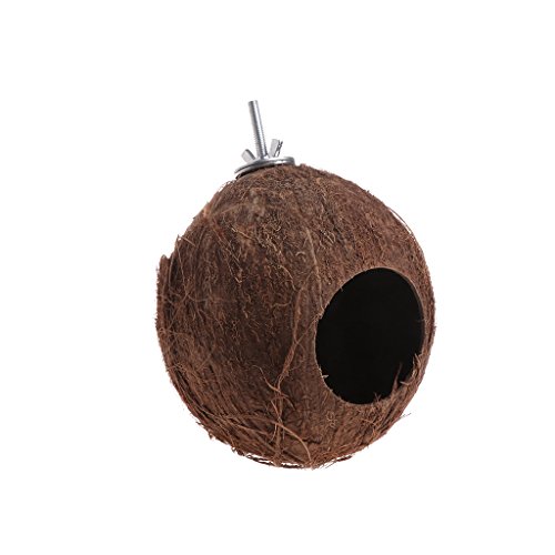 planuuik Bird Parrot Finch Nest Natural Coconut Shell Cadena Colgante Jaula Juguetes Swing House como se Muestra en Las imágenes