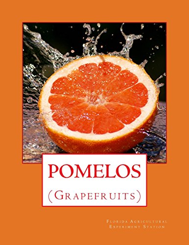 Pomelos: (Grapefruits)