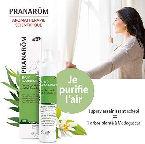 Pranarom Spray Purificador - Desinfecta, Purifica y Sanea E 100 g