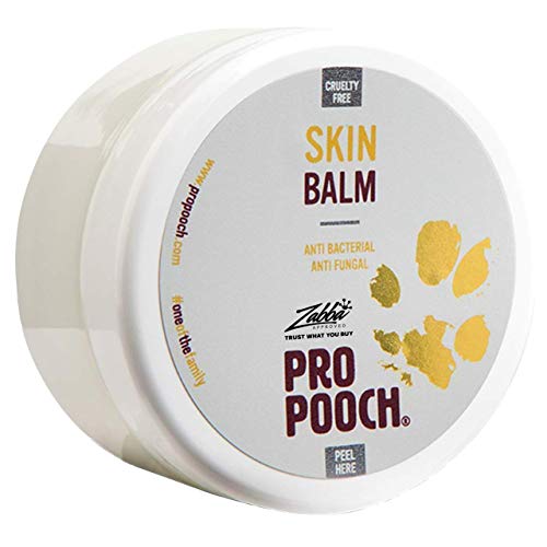 Pro Pooch Perros Bálsamo para Piel con picor (100 ml) Tratamiento para Perros con Problemas de Piel como Dermatitis, Eczema y Piel Seca