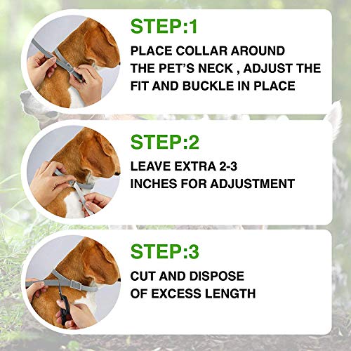 PROZADALAN Collar Antiparasitario para Perros, Impermeable, Diseño Impermeable y 8 Meses, Eficaz, Natural para Pequeños Animales Domésticos de Tamaño Mediano