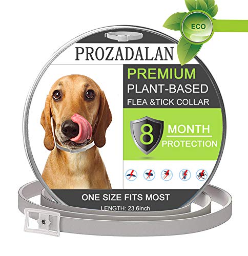 PROZADALAN Collar Antiparasitario para Perros, Impermeable, Diseño Impermeable y 8 Meses, Eficaz, Natural para Pequeños Animales Domésticos de Tamaño Mediano