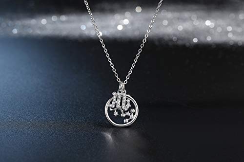 Qings Collar Plata Mujer Zodíaco Escorpio BFF Amigas Amistad Collares Símbolos del Astrología Colgante Horóscopo, Navidad Regalo para Mujer Niña Fiesta