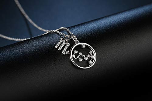 Qings Collar Plata Mujer Zodíaco Escorpio BFF Amigas Amistad Collares Símbolos del Astrología Colgante Horóscopo, Navidad Regalo para Mujer Niña Fiesta