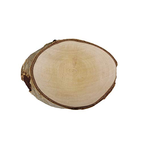 Rayher 85319000 abedules Disco Redondo Natural, Ã ˜ 15 – 17 cm x 2 cm de Altura, Bolsa