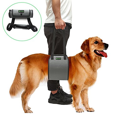 RockPet Soporte para Perros con Manija para la Ayuda Canina, Aprobado por los Veterinarios. Arnés para Levantar Perros Durante la Rehabilitación (M,Gris)