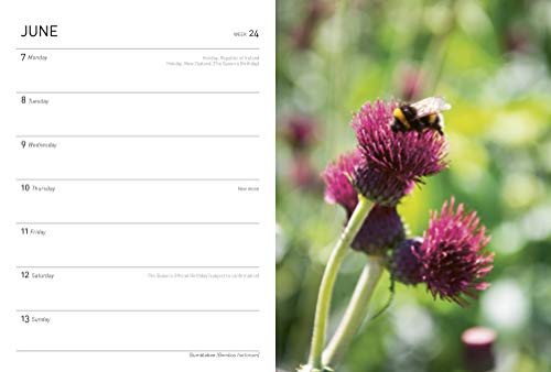 Royal Horticultural Society Wild in the Garden Pocket Diary 2021 (Diaries 2021)