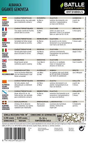 Semillas Aromáticas - Albahaca Gigante Genovesa - Batlle