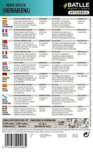 Semillas Aromáticas - Menta Spicata (Hierbabuena) - Batlle