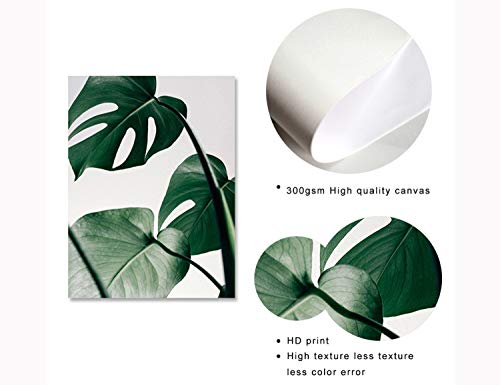 Set de 3 Posters Hojas Verdes y Citas y Cuadros Hojas Tropicales Decoración Lienzo Decorativo pared Dormitorio Cuadro Impresión Fotografica PTGL002-L