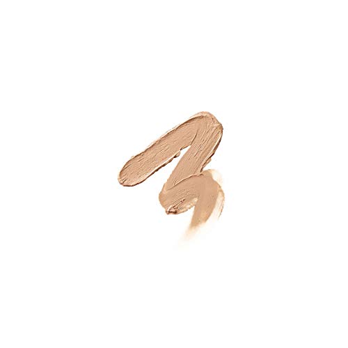 Shiseido 61703 - Corrector, 5 gr