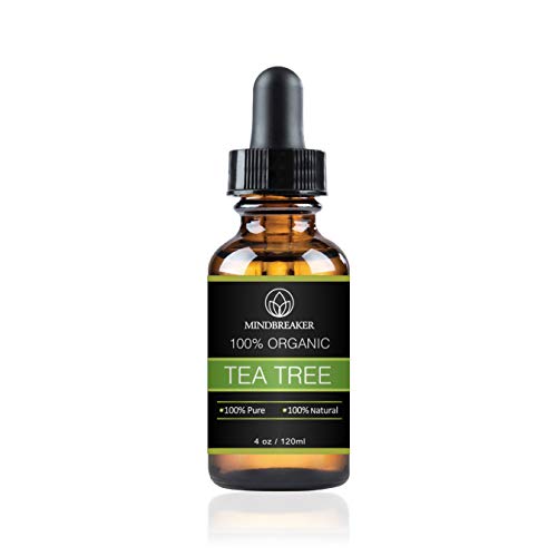 Tea Tree Essential Oil 100% puro y natural grado terapéutico: el mejor paquete de regalo para hombres y mujeres 120ml (4 oz)