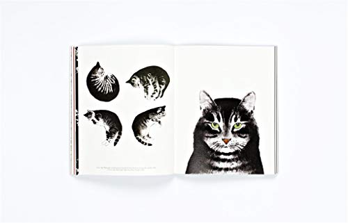 The Book Of The Cat: Cats in Art