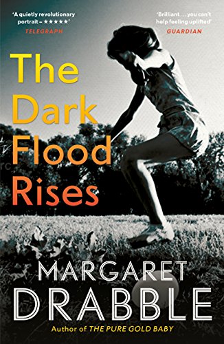 The Dark Flood Rises (English Edition)