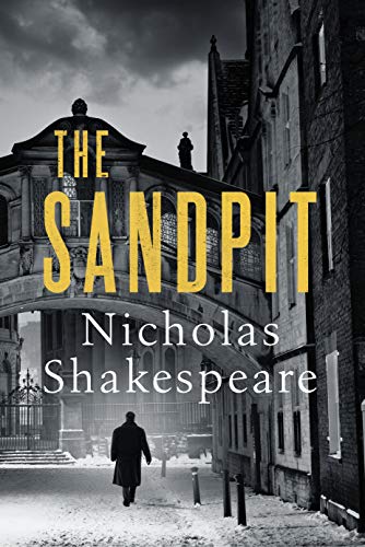 The Sandpit (English Edition)