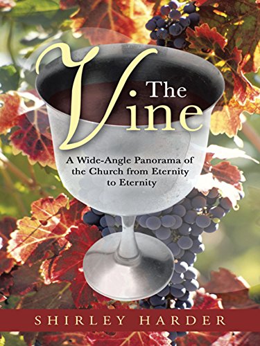 The Vine: A Wide-Angle Panorama of the Church from Eternity to Eternity (English Edition)